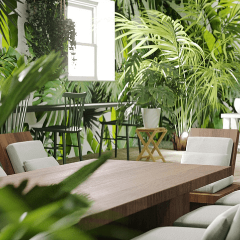 A modern room filled with various green plants, a wooden table with white cushioned chairs, and a window letting in natural light demonstrating Wayleadr’s seamless parking management solutions.