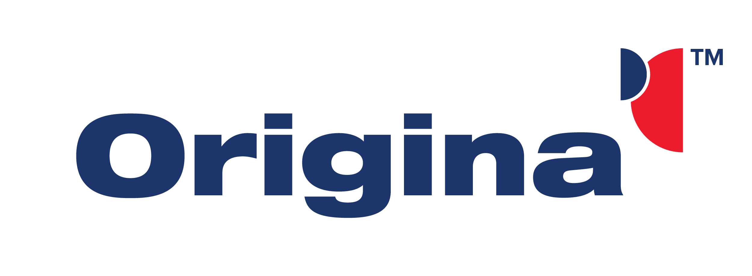 Logo of Origina, showcasing the company name in dark blue letters with a small, partially red and blue emblem above the last letter, reflecting its expertise in parking lot management.