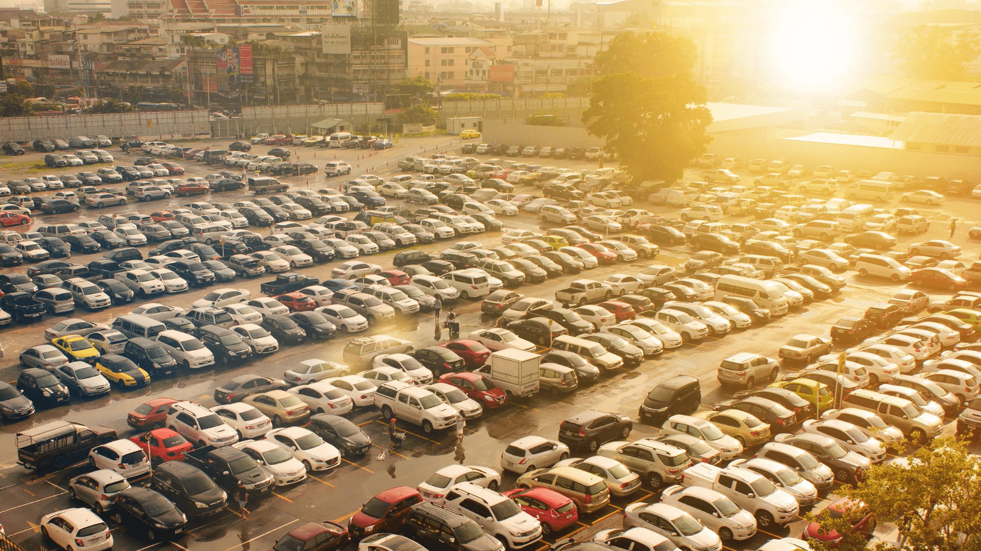 A large, sunlit parking lot filled with rows of parked cars, adjacent to a cityscape in the background, showcases efficient parking lot management by Wayleadr, ensuring smooth operations for this busy commercial parking area.